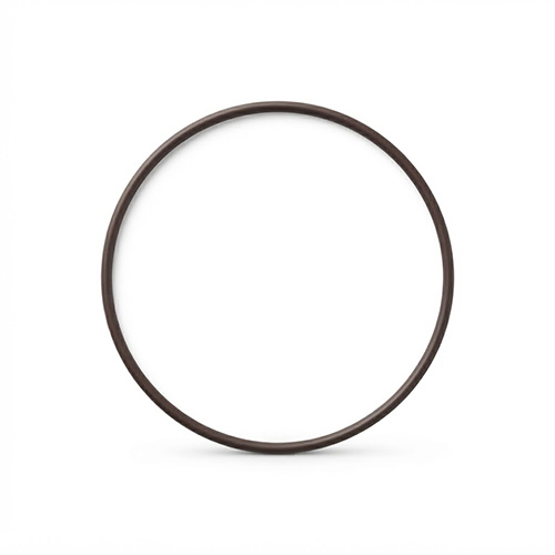 Oring viton 041