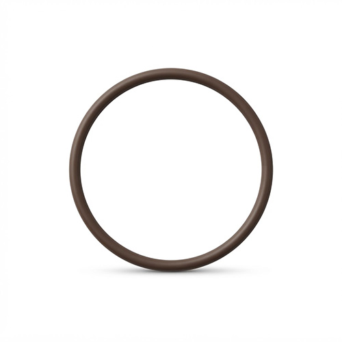 Oring viton 238