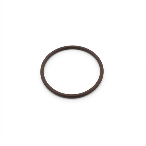 Oring viton 453